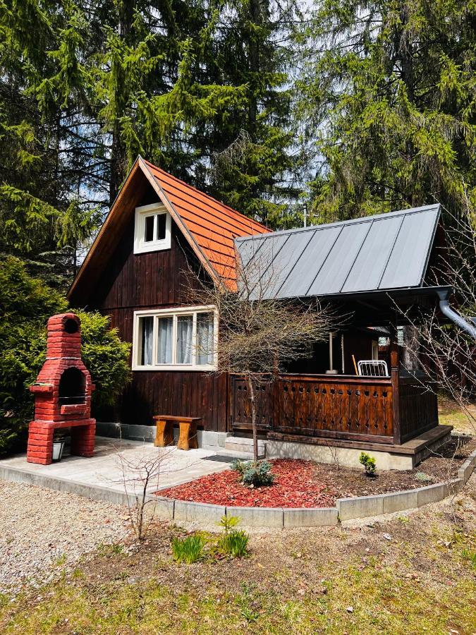 Cabana Adrienne Izvoru Mureşului Eksteriør bilde