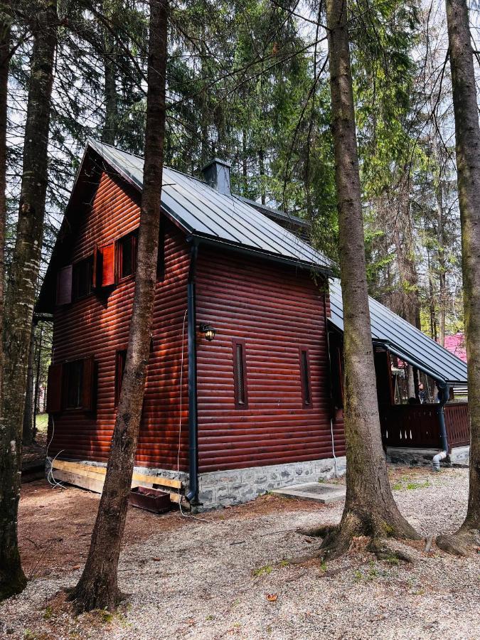 Cabana Adrienne Izvoru Mureşului Eksteriør bilde